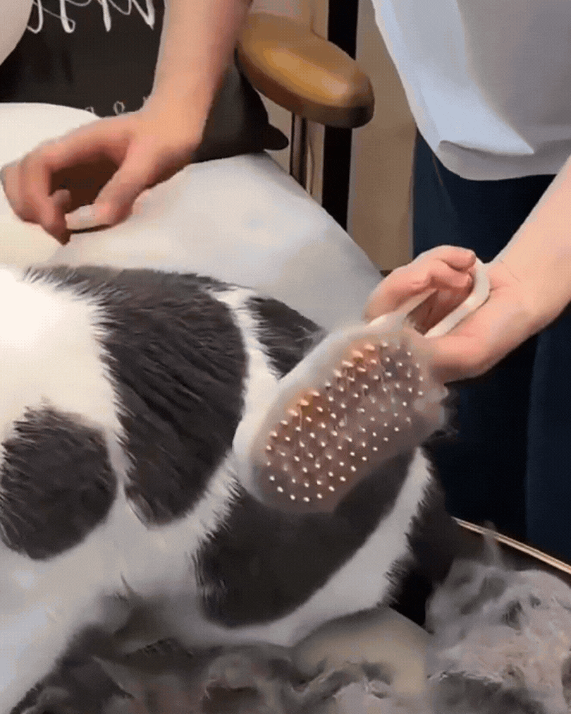 CEPILLO A VAPOR 3 en 1 para Mascotas – ¡Cepilla, Desinfecta y Relaja!
