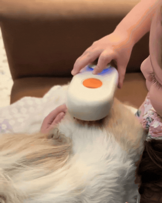 CEPILLO A VAPOR 3 en 1 para Mascotas – ¡Cepilla, Desinfecta y Relaja!