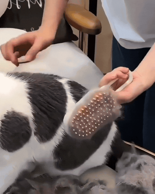 CEPILLO A VAPOR 3 en 1 para Mascotas – ¡Cepilla, Desinfecta y Relaja!